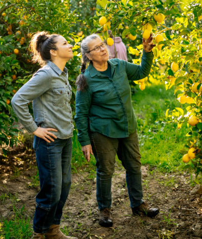 image of two women citrus orchard talking and inspecting lemons