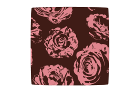 raspberry rose bonbon illustration