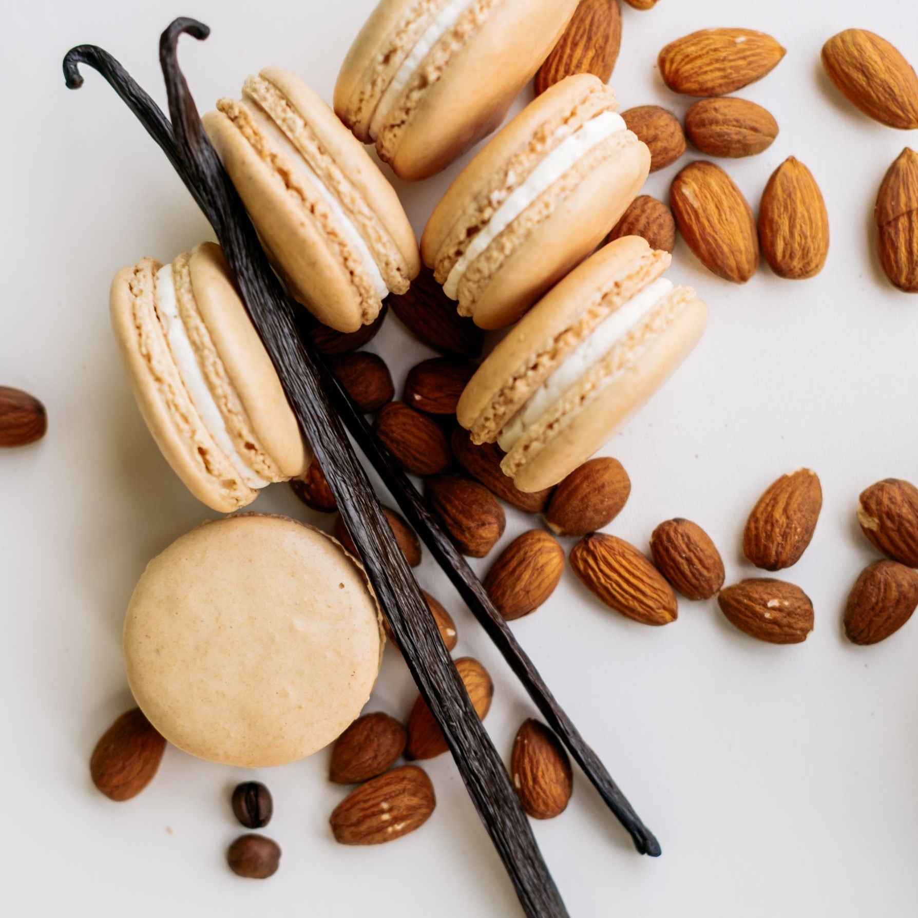six macaron cookies shown with almonds and vanilla beans on white background