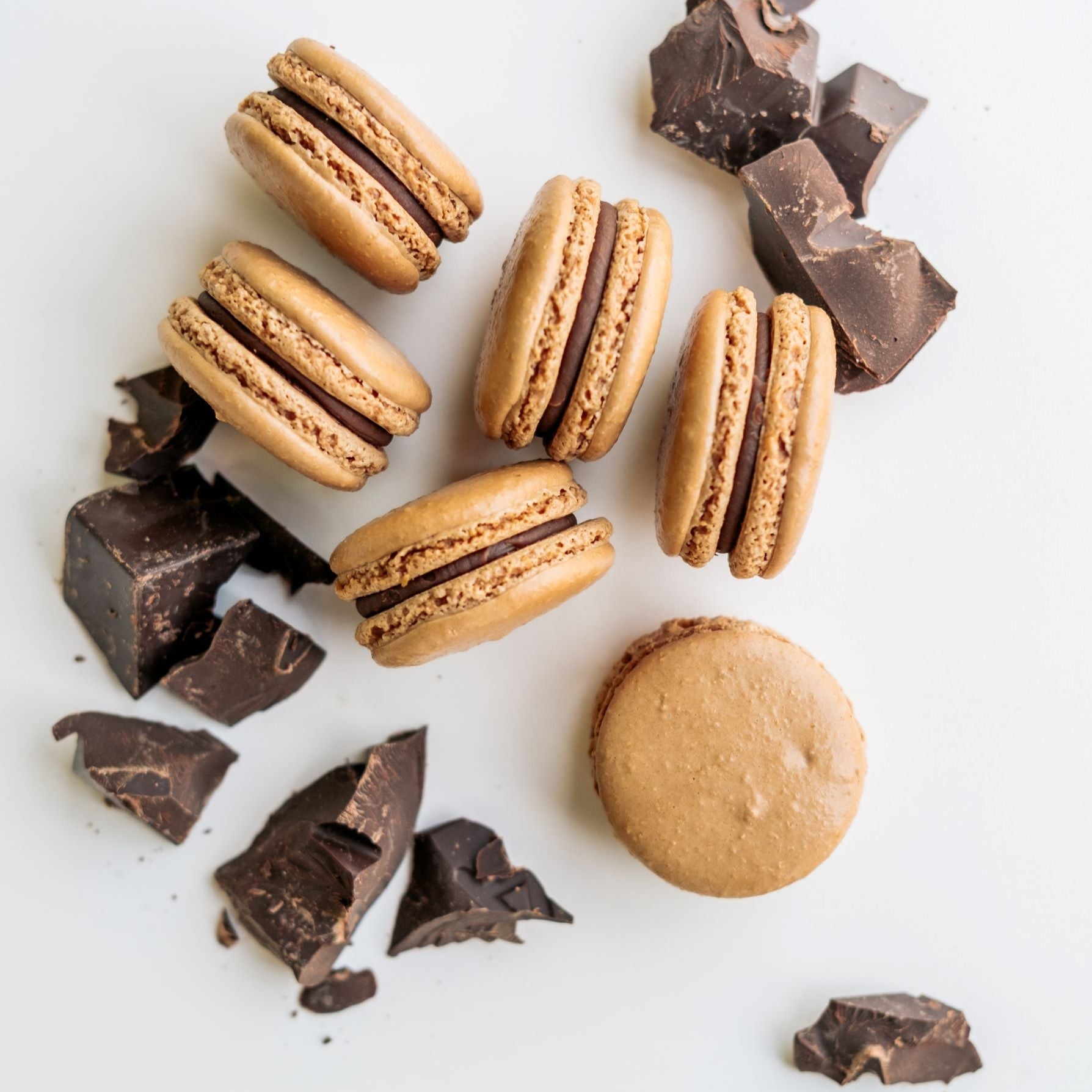 six chocolate ganache macarons shown with chunks of chocolate on white backround